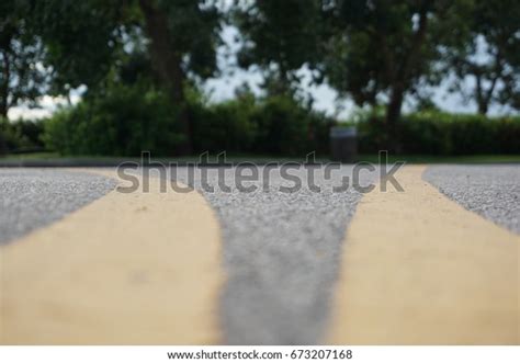 Split-Path Vector に対する画像結果