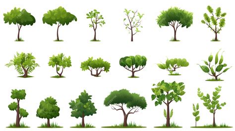 Image result for Tree Only Shape