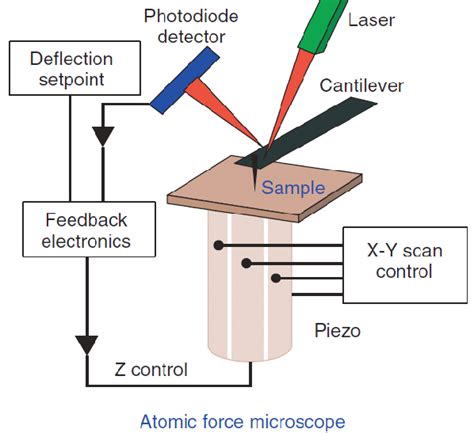 Image result for Scanning Probe Microscope Diagram