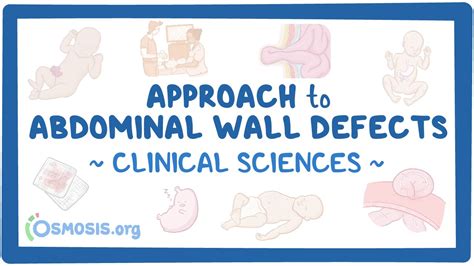 Image result for Abnormal Wall Defects Classification