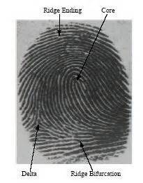 Toradh íomhá ar Fingerprint Core Examples