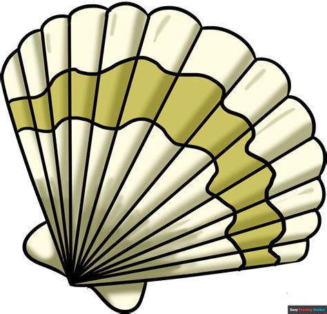 Seashell Drawing に対する画像結果