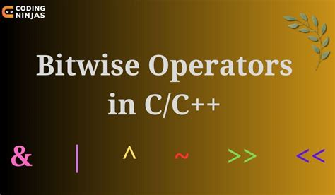 Image result for C Programming Bitwise Operators