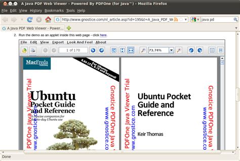 Image result for Java PDF Viewer