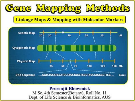 Image result for Genetic Maps