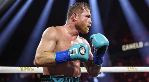 Image result for Canelo Andy Ruiz