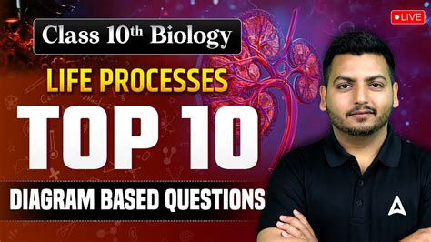 Class 10 Life Processes Diagram Based Question に対する画像結果