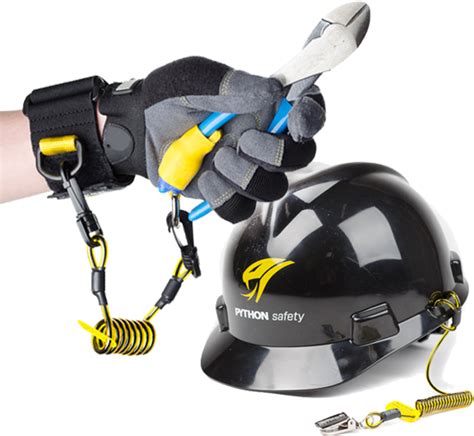 Image result for E Python Safety