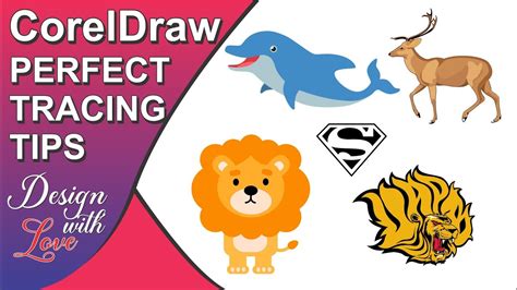 Coral Drawing Tutorial に対する画像結果