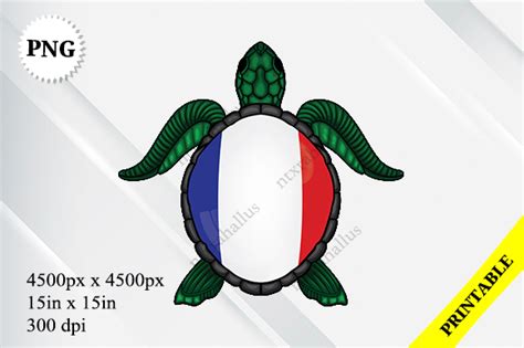 Image result for Drapeau Python Turtle