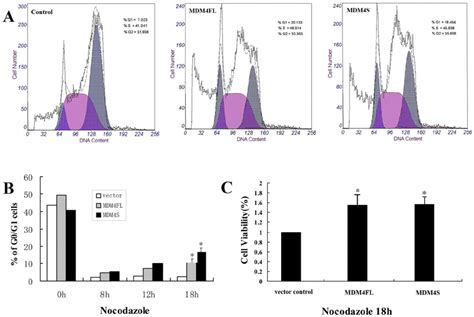 Image result for Combination Cell Cycle Cell Proliferation Flow Cytometry
