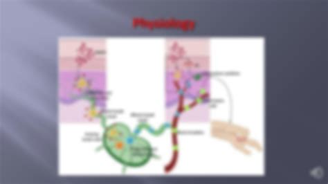 Rhus Dermatitis Face-এর ছবি ফলাফল