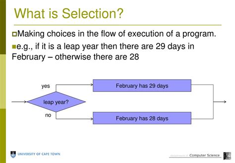 Image result for Selection Computer Programming