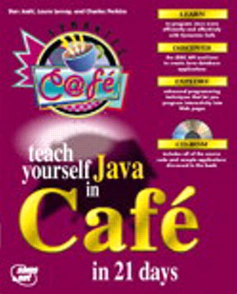 Image result for Learn Java in 21 Days Book