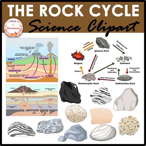 Image result for Types of Rock Sort