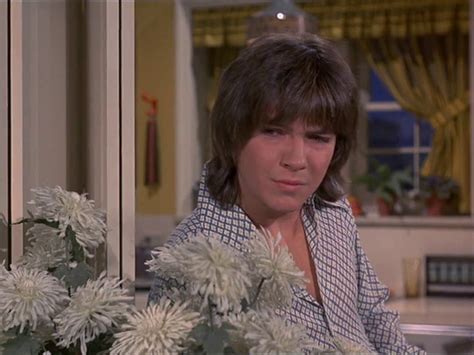 Image result for David Cassidy Serie