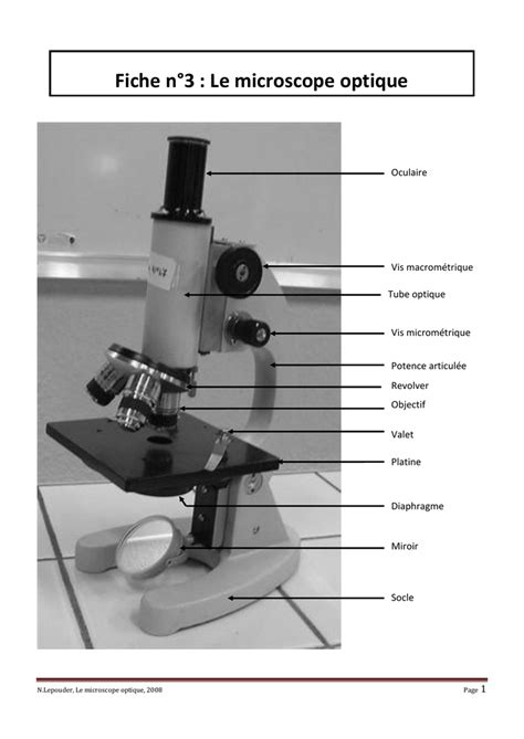 Image result for PDF Microscope