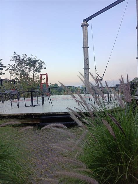 Image result for Java Place