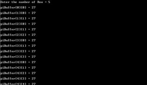 Program in CTO Allocate Memory Dynamically for the 2D Array に対する画像結果