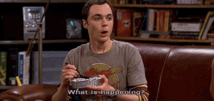 Toradh íomhá ar What Is Happening Reaction GIF