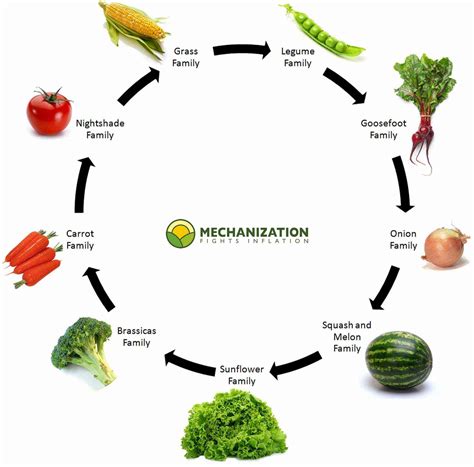 Image result for Crop Rotation