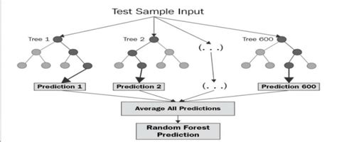 Random Forest Decision Tree Graph に対する画像結果