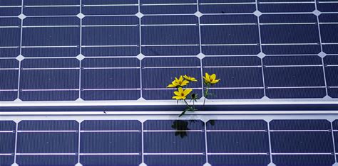 Image result for Small Solar Panel Array for 10 Homes