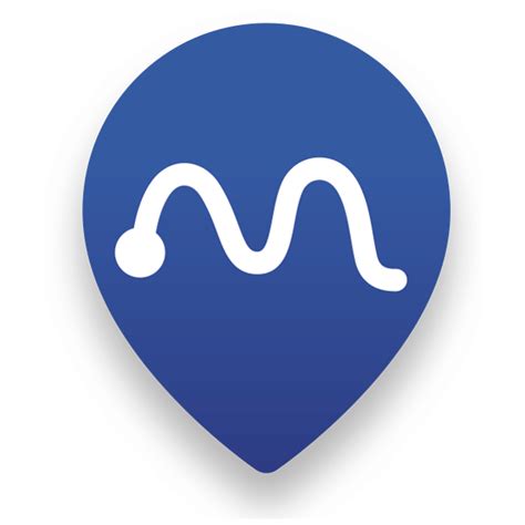 Image result for Geocoding API Icon