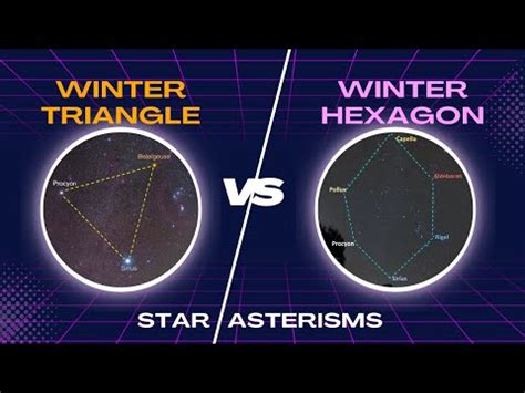 Triangle Worksheets に対する画像結果