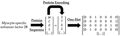 Encoding Specifi に対する画像結果