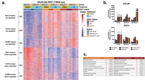 Image result for RNA-seq Data