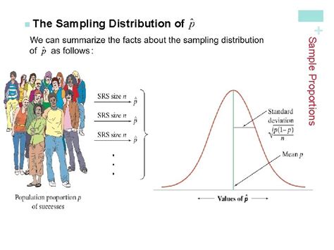 Image result for Spread of Sampling Distribution