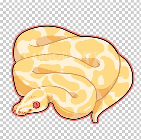 Image result for How to Draw a Realistic Burmese Python