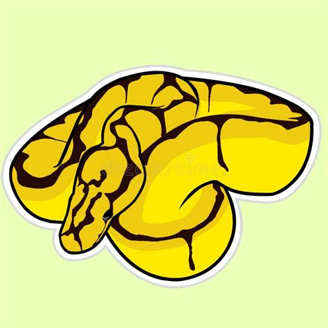 Ball Python Snake Outline に対する画像結果
