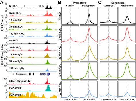 Toradh íomhá ar ChIP-seq Enhancer