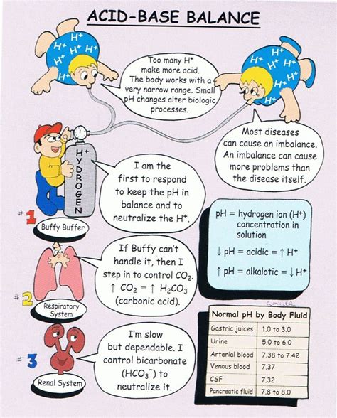 Image result for Acid-Base Balance Disorders