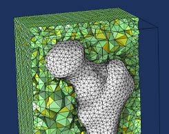 Toradh íomhá ar COMSOL Multiphysics Meshing