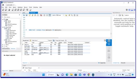 Image result for Describe a Table in MySQL