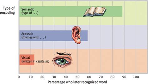 Image result for Different Types of Encoding Psychology