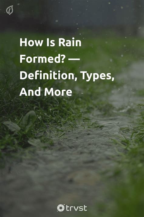 Rainfall Formation に対する画像結果