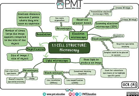 Cell Structure and Function Concept Map に対する画像結果