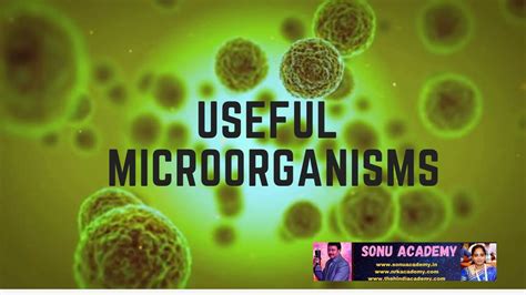 Image result for Helpful Microorganisms