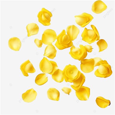 Afbeeldingsresultaten voor Matrix Image Yellow Color Transparent