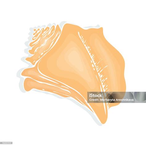 Toradh íomhá ar Conch Shell Texture