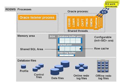 Image result for SAP Oracle Database Administration