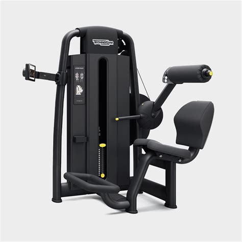 Image result for Lower Back Exercise Machine