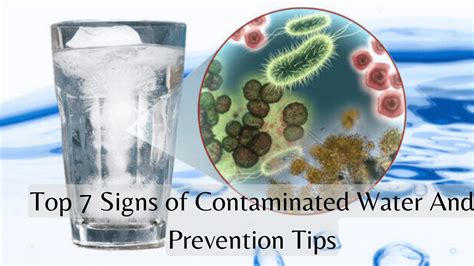 Image result for What Does Contaminated Mean