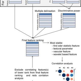 Feature Selection Process Workflow に対する画像結果