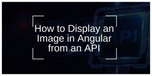 Image result for Fetch and Display Data From API in Angular Simple