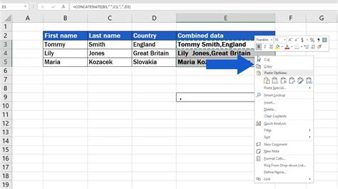 Résultat d’images pour How to Use Copy/Paste in Excel